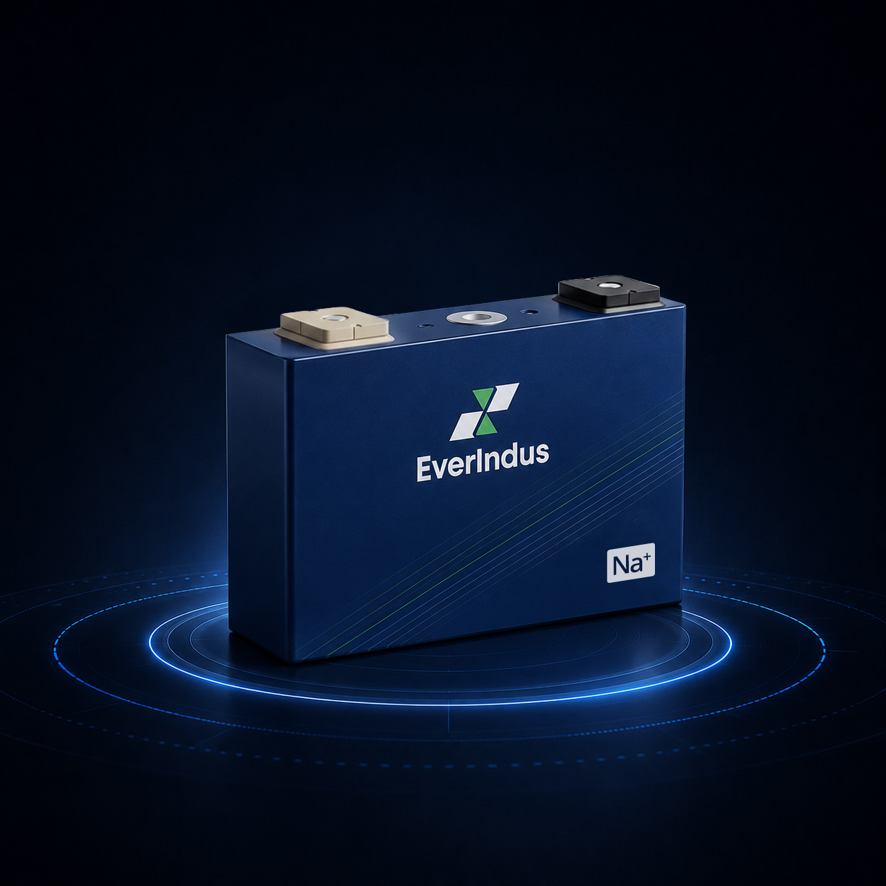 EverIndus Sodium-Ion Battery Module / Pack